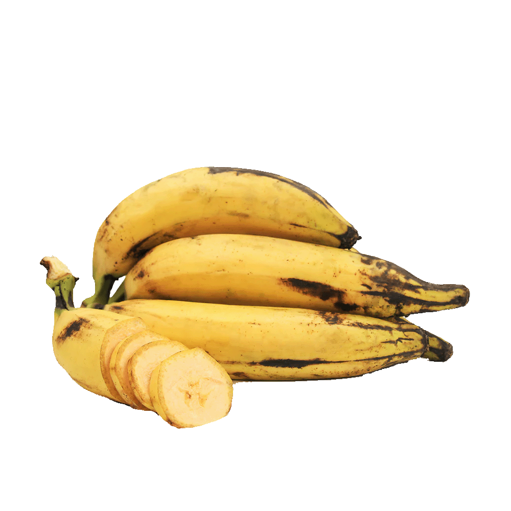 Frische Kochbanane